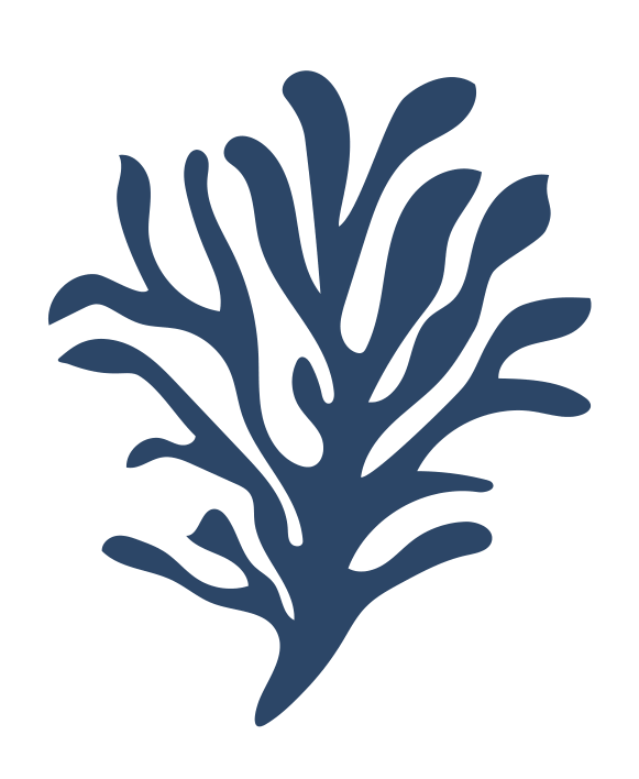 amarea isotipo construccion seaweed
